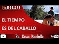 EL TIEMPO ES DEL CABALLO Rui Cesar Pandolfo - On HORSES Channel