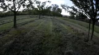 First flight ... and I killed the mobius