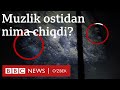 Олимлар Антарктида музликлари остидан ғаройиб нарса топишди Янгиликлар - BBC News O'zbek