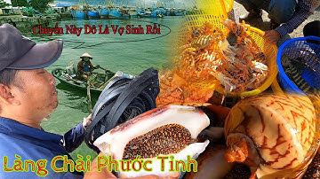 LÀNG CHÀI PHƯỚC TỈNH║Tàu Thuyền Tấp Nập Chở Hải Sản Vào Bờ Và Cuộc Sống Của Ngư Dân Nơi Đây.