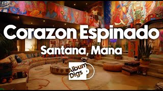 Santana  Corazon Espinado feat Mana visualizer