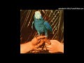 Andrew Bird - Are You Serious