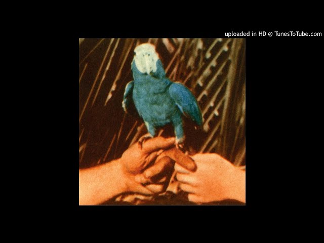 ANDREW BIRD - Are You Serious