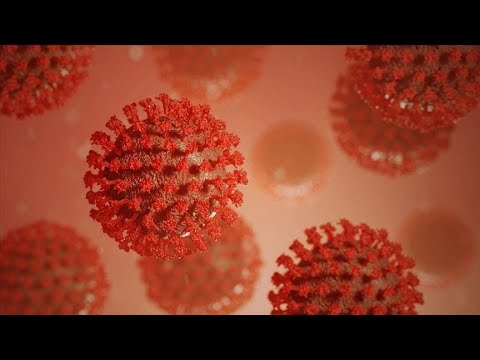 ეპიდემიოლოგები უკვე გვინეაში არიან, ერთი ადამიანი გარდაიცვალა