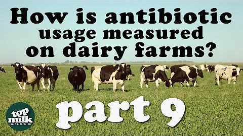 9. How is antibiotic usage measured on dairy farms?