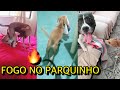 HORA DA BAGUNÇA