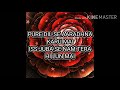 Dil Se Aaradhana Karu Mai [Lyrics Video] Mp3 Song