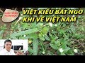 Việt Kiều Mỹ về Việt Nam giảm bệnh suy thận không ngờ #namviet