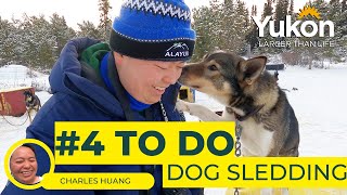 Best of Whitehorse (4K) - Dog Sledding with Alayuk Adventures