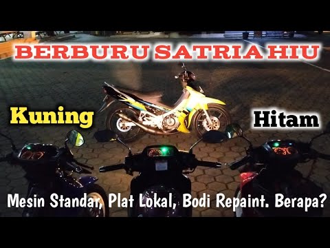 Berburu Satria Hiu Warna  Langka  Kuning  Hitam YouTube