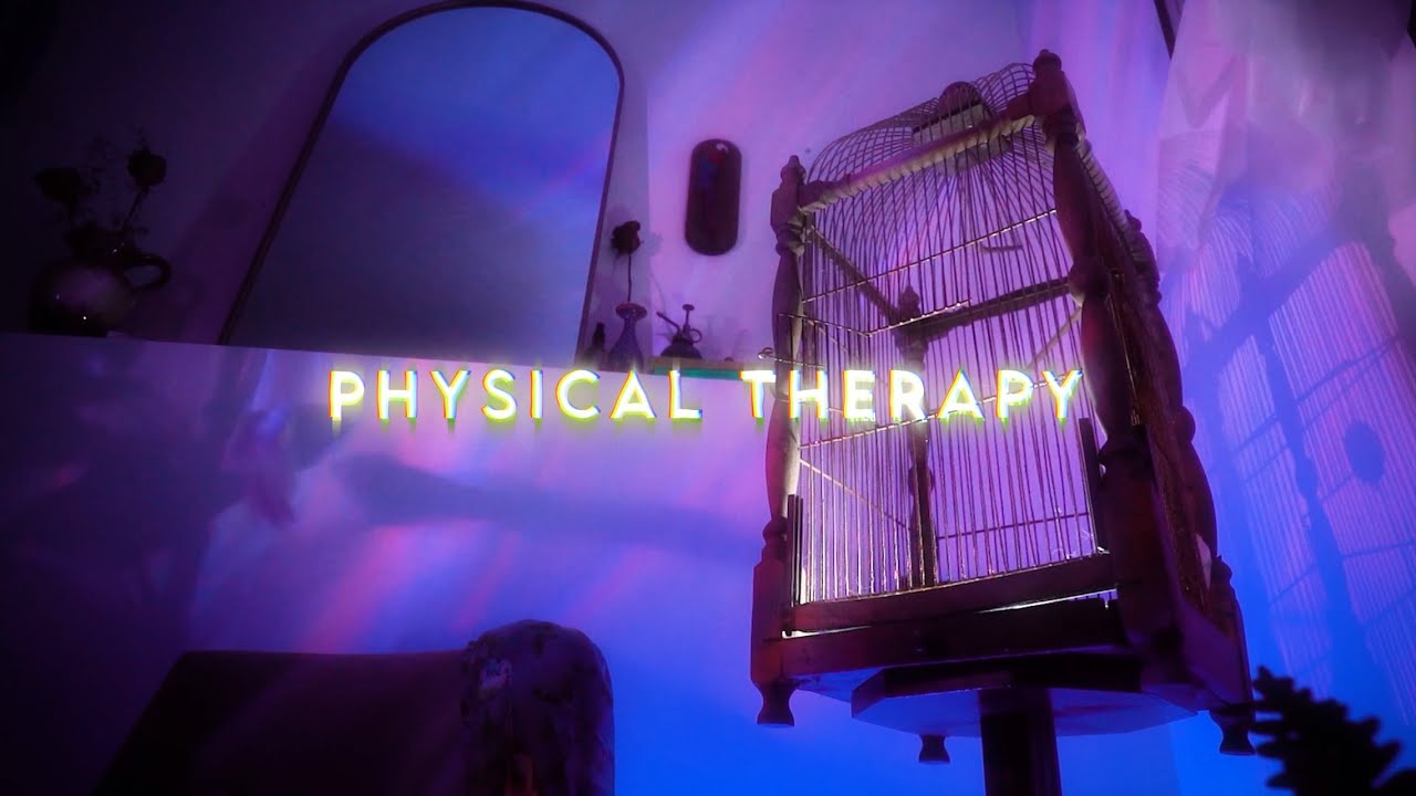 Carson Hoy Physical Therapy (Lyric Video) YouTube
