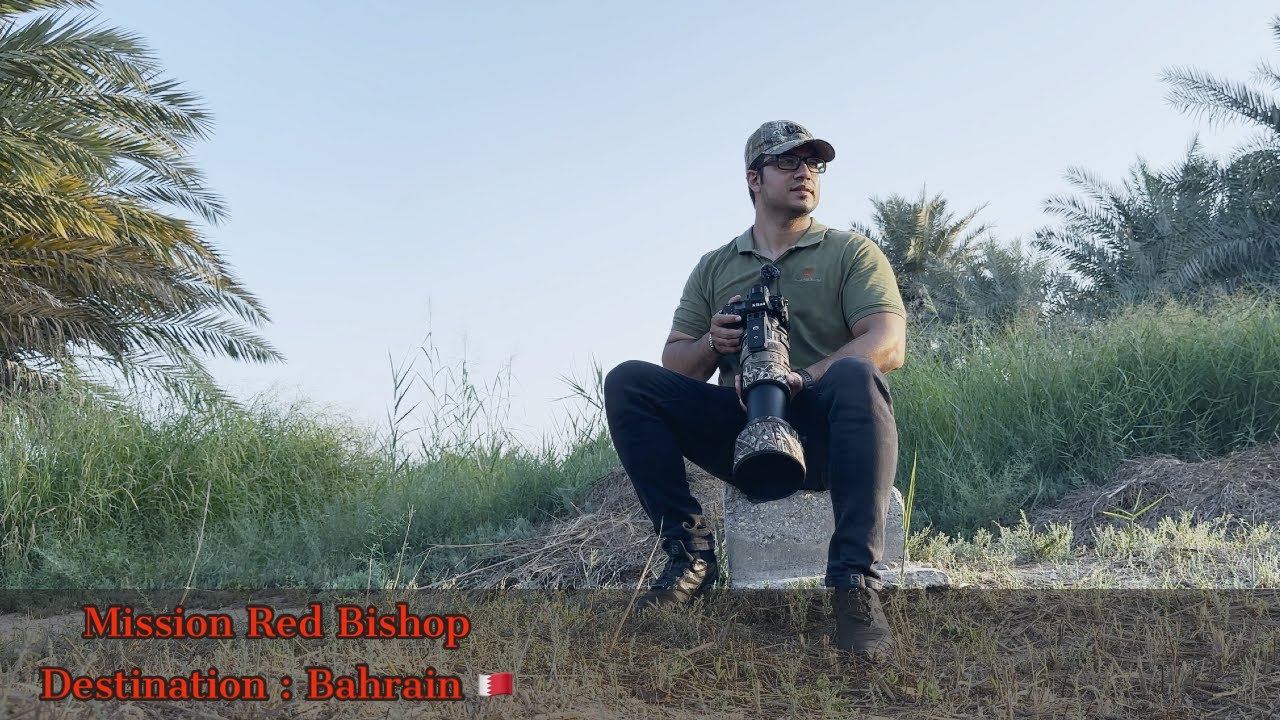 Where's My Next Adventure?  Catching the Red Bishop in Bahrain 