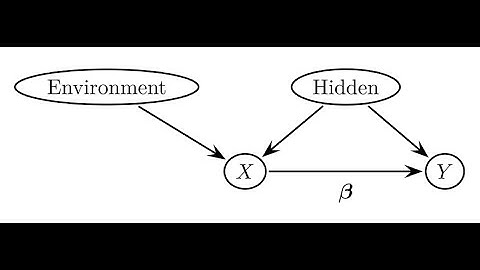 Distribution generalization and causal inference (joint webinar series)