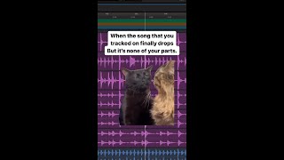 🐈 Where are my tracks? 📹 Drum Sample Shop