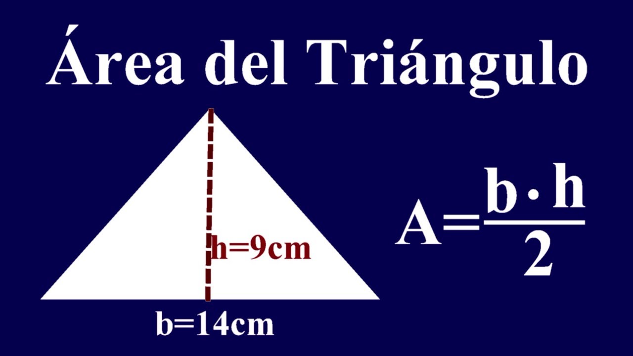 Como Calcular El Area De Un Triangulo Para Niños Importancia De Niño