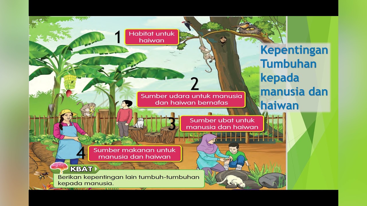 Kepentingan hutan kepada manusia