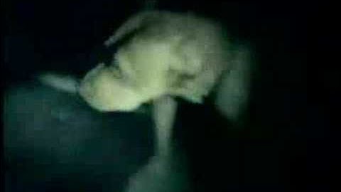 no warning, "back to life".