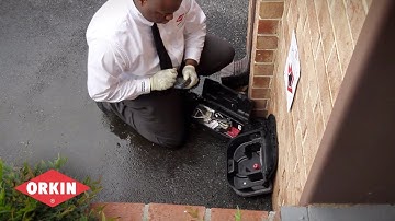 Using Bait Stations for Rodent Control - Orkin for Your Business