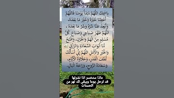 باسمك اللهم نبدأ يومنا🤲#ستوريات_أدعية_دينية#ستوريات_دعاء_بدون_صوت#أدعية#تسبيح#أذكار