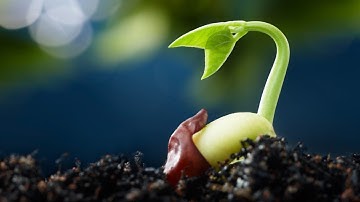 uncertainty quantification for density functional theory