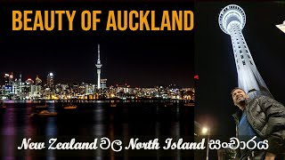 New Zealand වල North Island සංචාරය I Exploring the Beauty of Auckland.