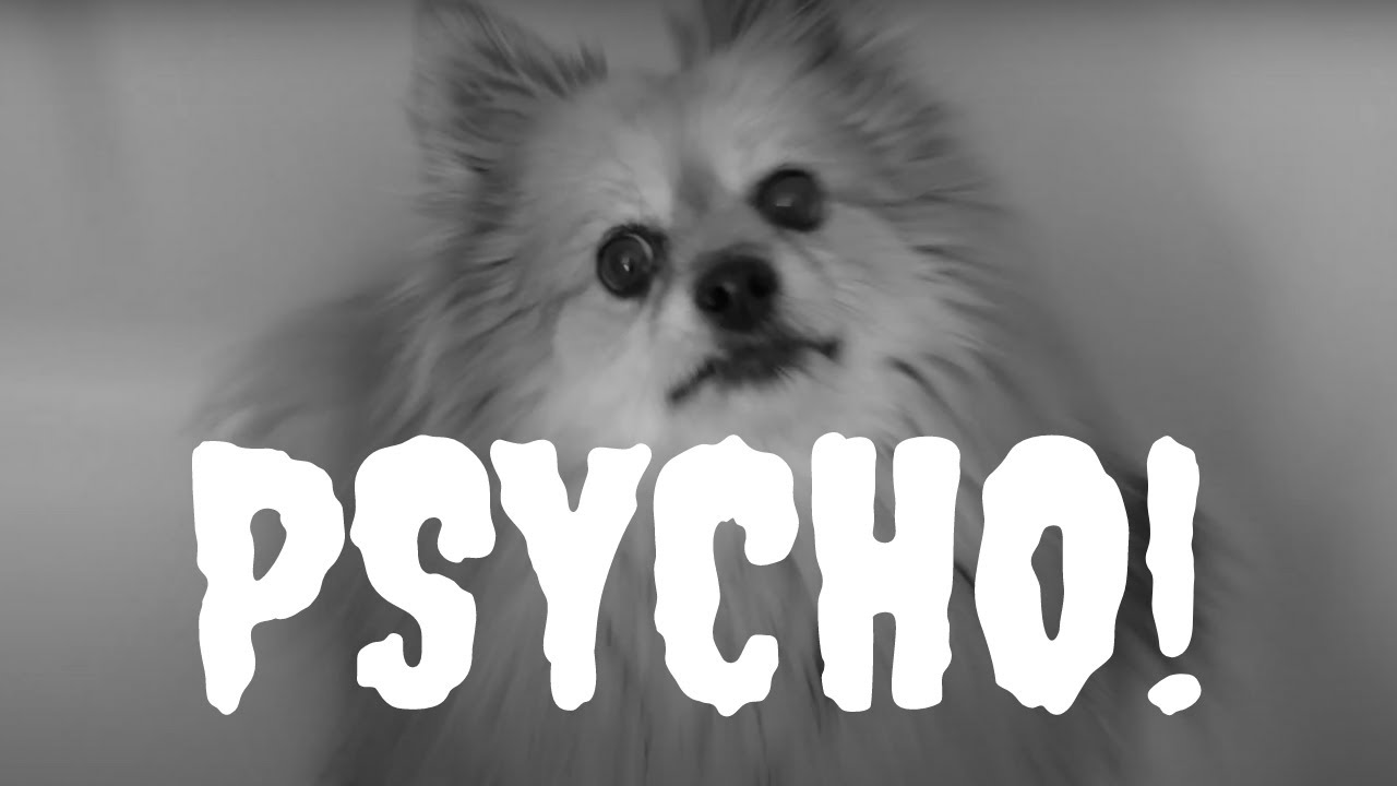 Psycho! - a film spoof starring Foxy