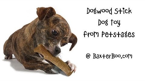 Dogwood Stick Dog Toy from Petstages