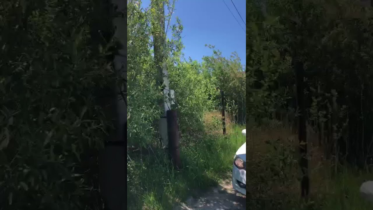 Купить Участок В Снт Зеленая Роща Самара