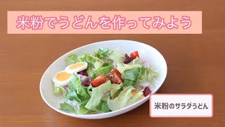 【グルテンフリー】米粉うどん