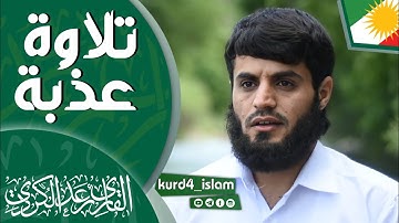 تلاوة عذبة  للقارئ رعد الكردي من كردستان العراق سكينة لايوصف حالات واتس اب راحة نفسية