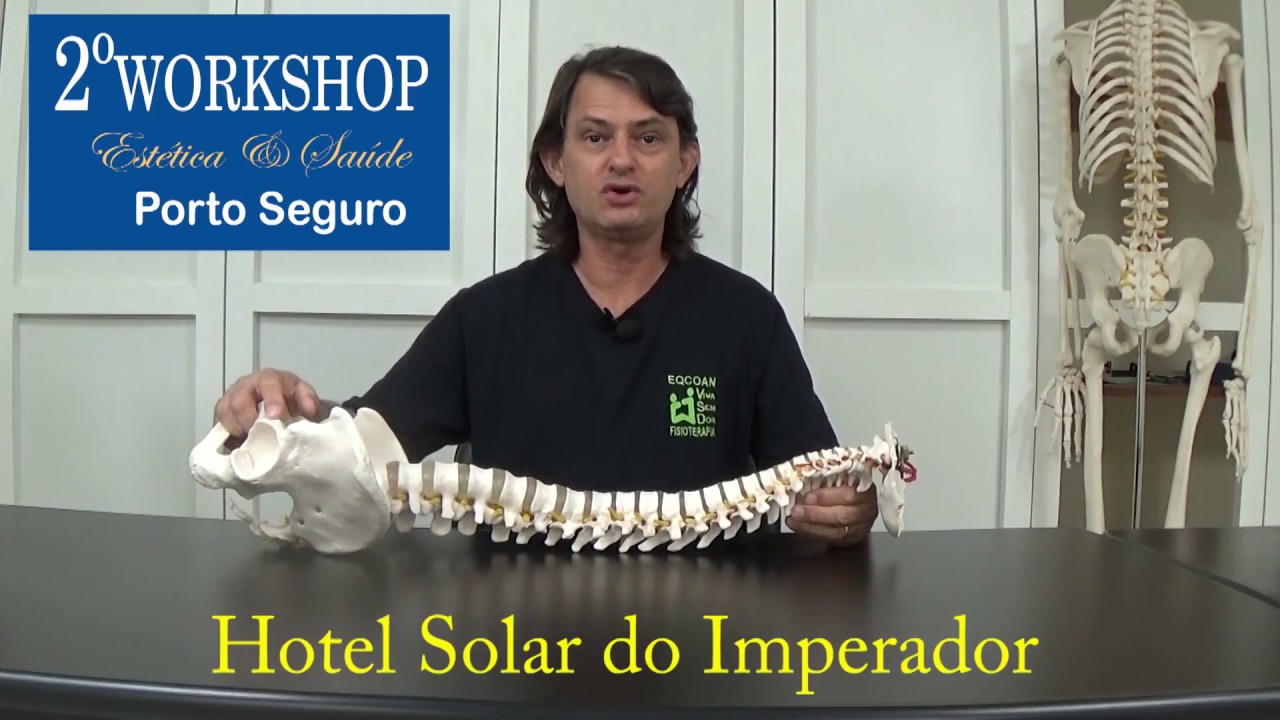 artrose no joelho workshop de exercícios terapêuticos