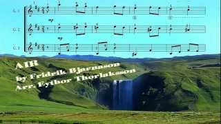 Fridrik Bjarnason, Air