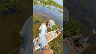 Floating Through Paradise / LIVE Watersports #paddleboard #flyfishing