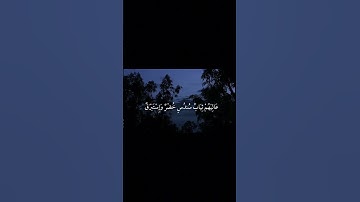سورة الأنسان|18-22|القارئ:#محمد_اللحيدان #قران #quran #راحة_نفسية #قران_كريم #تلاوة#تلاوة_هادئة #آية