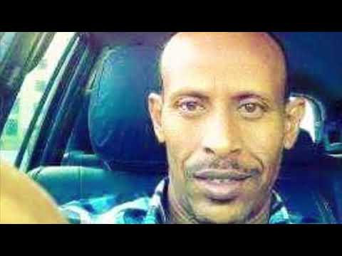 صبري اغنية نوبية تسجيل جديد عزف واداء الفنان عاصم ختام