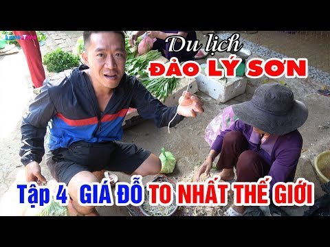 Săn lùng "Thần Dược" Giá Đỗ to nhất Thế giới | DU LỊCH ĐẢO LÝ SƠN TỰ TÚC