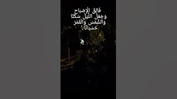 ذَٰلِكَ تَقْدِيرُ الْعَزِيزِ الْعَلِيمِ #سورة_الأنعام