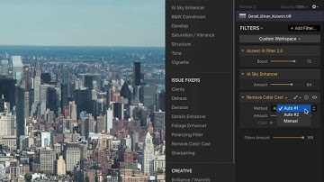 Remove Color Cast Filter