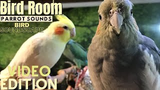 Bird Room Buddies | Happy Parrot Sounds | HD Parrot TV VIDEO EDITION | 3+ Hours | Bird Room TV