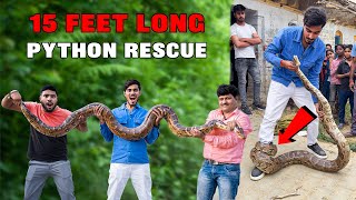 Saving 4 Python Snakes इसने ऐसा जकड़ा, छुड़ाना मुश्किल हो गया