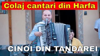 CINOI DIN TANDAREI - STRIGA CATRE DOMNUL - COLAJ CANTARI VECHI