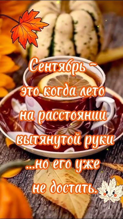 #осень #сентябрь - YouTube