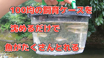 تحميل ハヤ取りランプ Mp4 Mp3