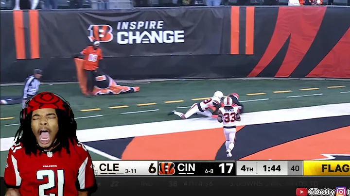 Video 6874751: brown bengal