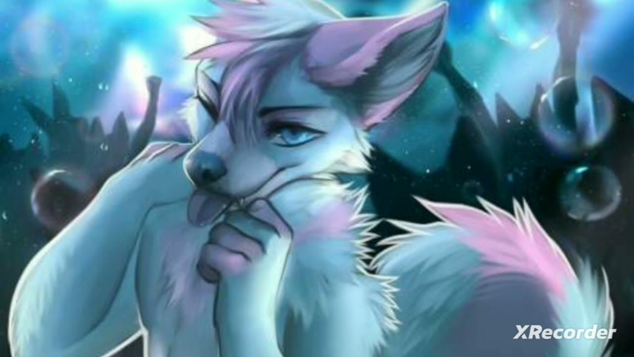 furry finds a HUMAN!? [furry asmr]