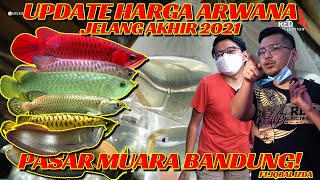 KAGET! UPDATE HARGA ARWANA JELANG AKHIR 2021! GREBEK PASAR MUARA BANDUNG!!