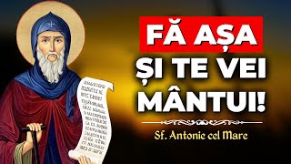 Fă așa și te vei mântui! - Sf. Antonie cel Mare