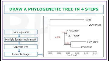 Create phylogenetic trees using MUSCLE and PHYML
