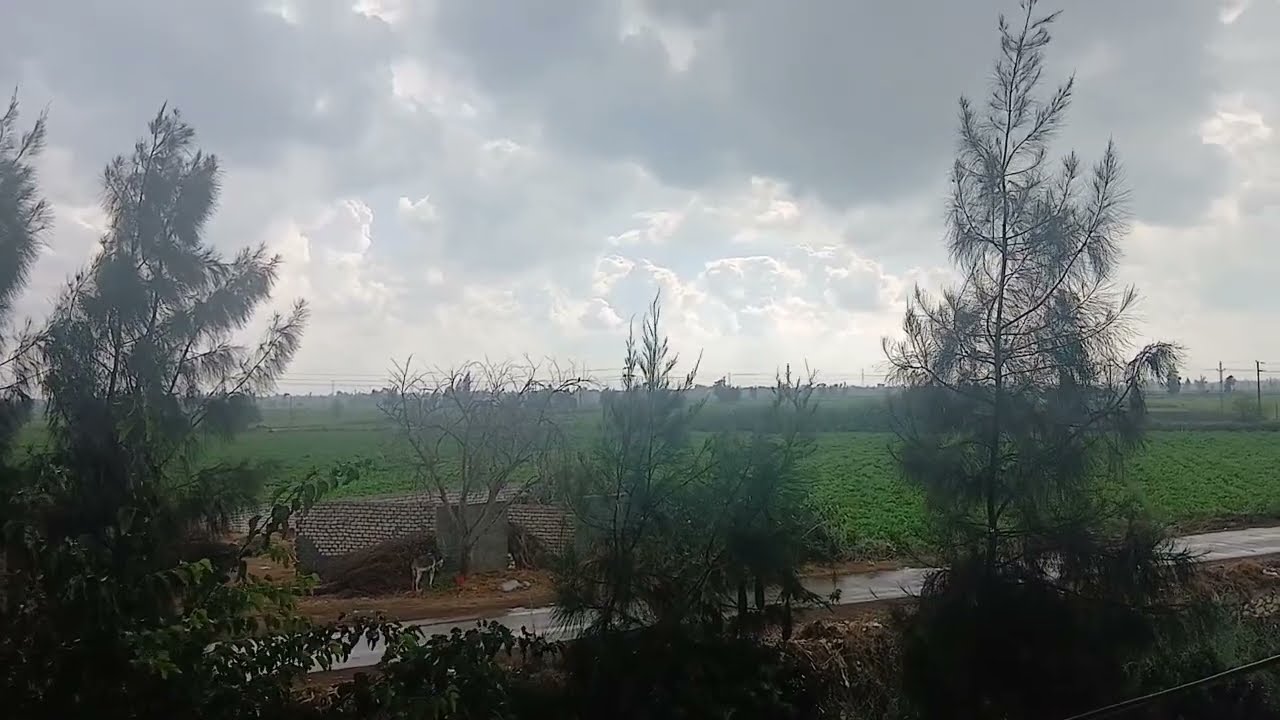 أمطار 🌧 الخير  ودعوه  حلوه  من القلب ❤️ لكل  متابعينى واخواتى 🤲