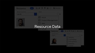 How to create Resources and fill in Data Fields in Ganttic Net Worth